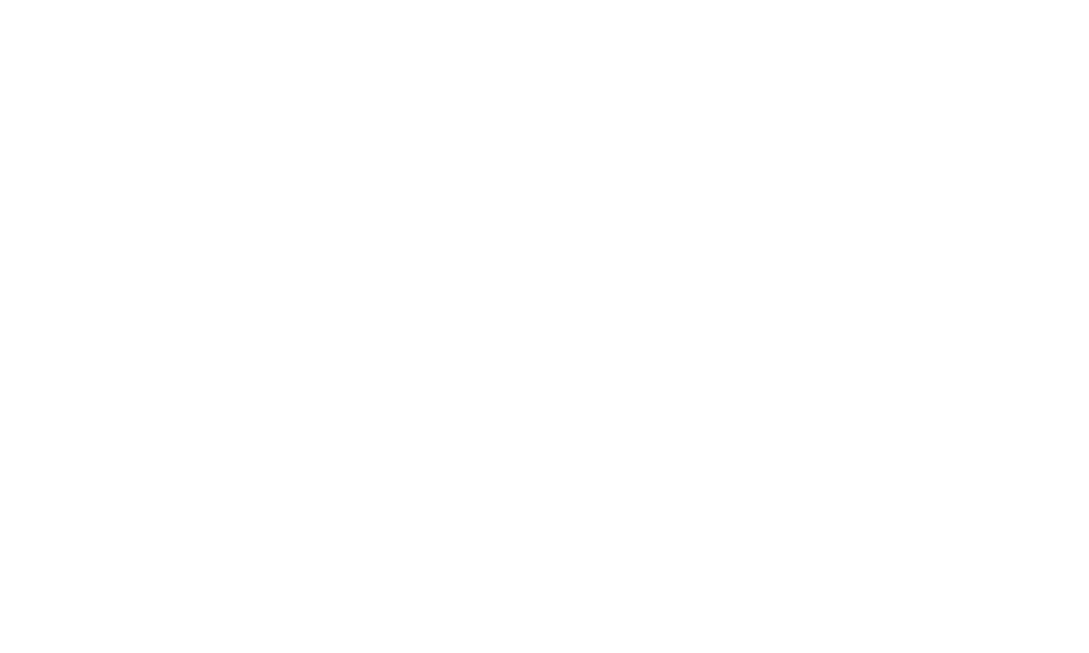 Fostex