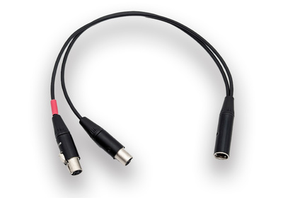 NPA_FX_TA3F-Split - TA5M to 2x TA3F Mini XLR  Audio Adapter Cable